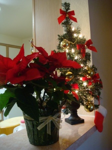 Моята елха и Коледна звезда
